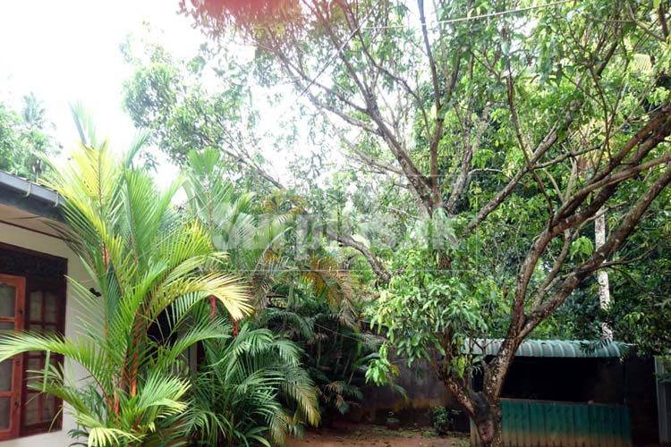 00203565834fd47c2f7bc0080aa246b0972d57e9bd5d6600431f9165f34905f8035aecd6db06d1750x500 00203565834fd47c2f7bc0080aa246b0972d57e9bd5d6600431f9165f34905f8035aecd6db06d1750x500