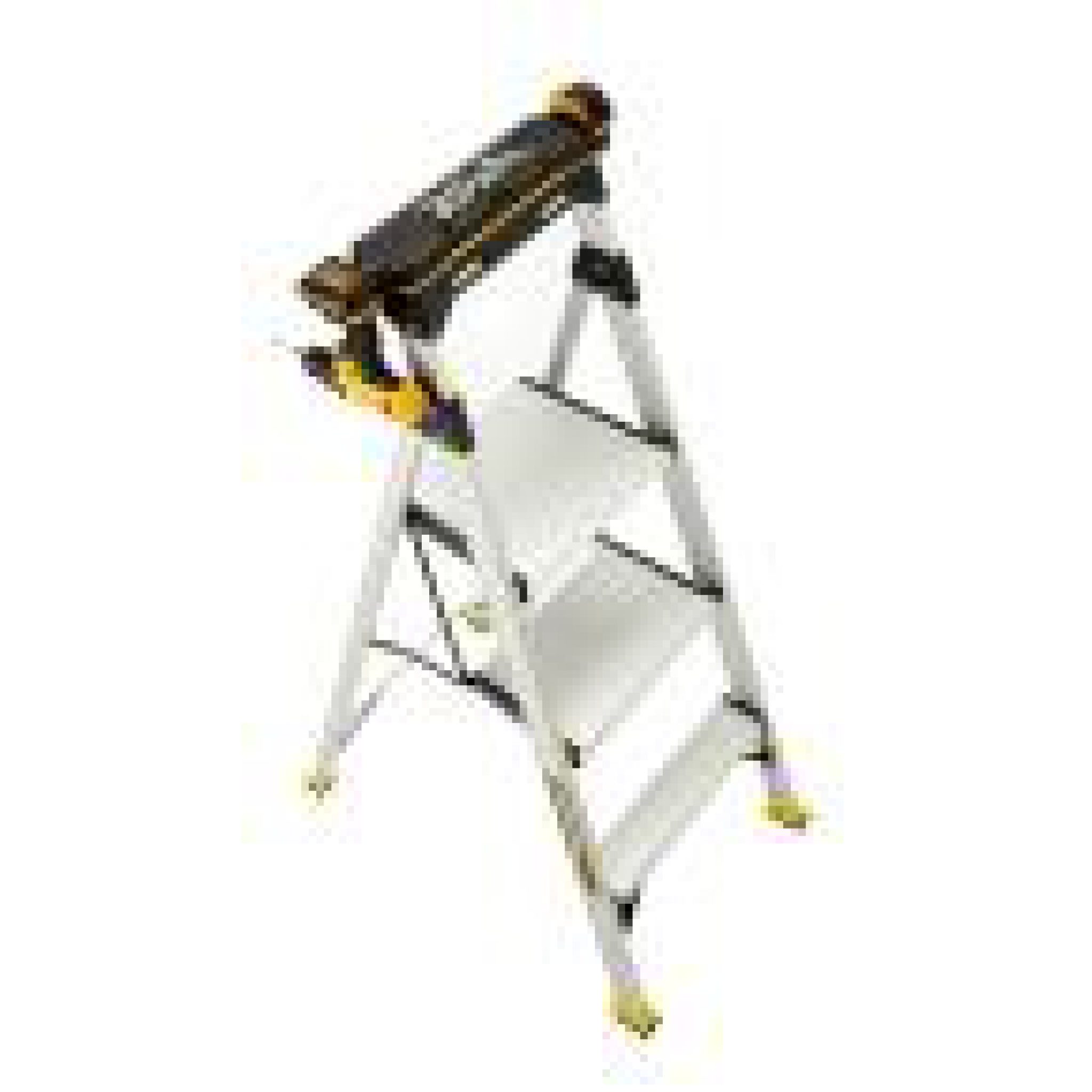 Ladder Gorilla Ladders 4.5 ft. Aluminum Hybrid Ladder Surplus
