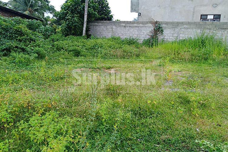 46750x500_2 46750x500_2