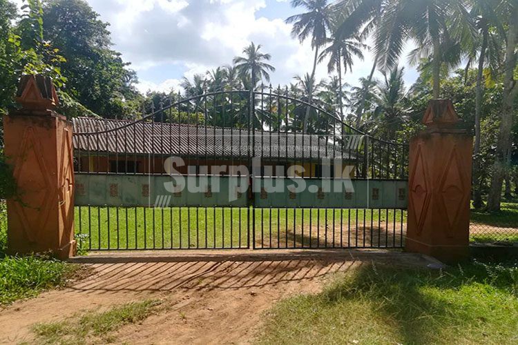 65750x500_1 65750x500_1