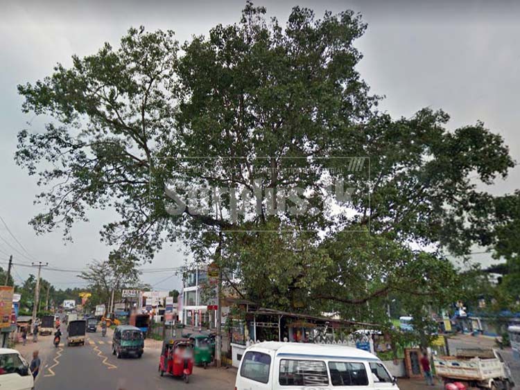 Two Land Blocks for Sale at Godagama, Homagama. Surplus