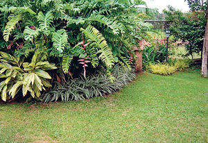 HiruniGardenServicesLandscaping HiruniGardenServicesLandscaping