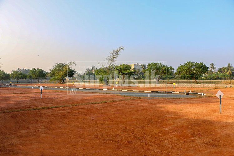 IMG20190101WA0028750x500 IMG20190101WA0028750x500