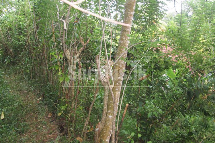 IMG4868750x500 IMG4868750x500