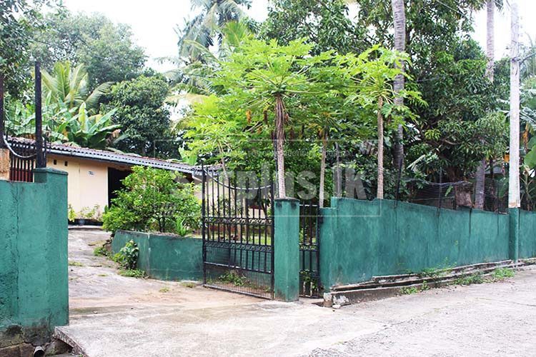 IMG9942750x500 IMG9942750x500