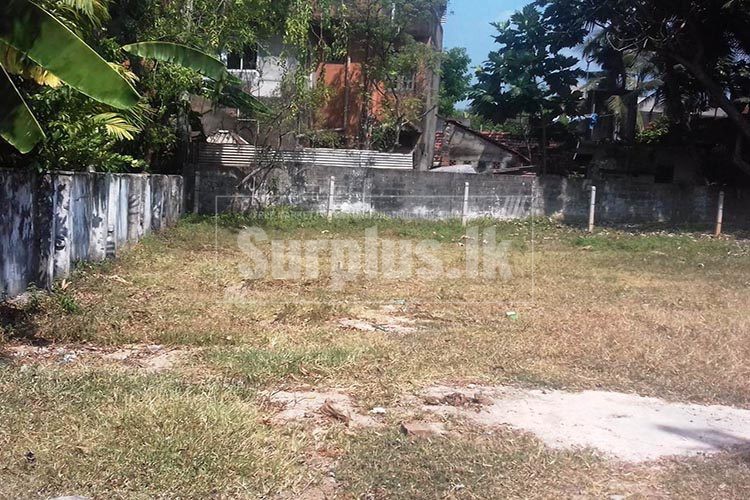 PHOTO20200227163635750x500 PHOTO20200227163635750x500