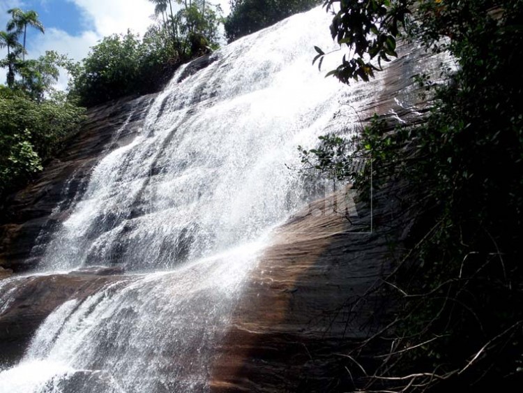 SAM4508750x563 SAM4508750x563