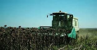 download33_1 download33_1