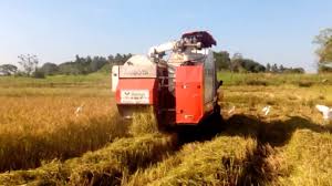 download5_42 download5_42