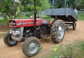 images1_49 images1_49