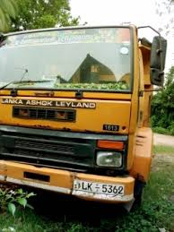 images1_56 images1_56