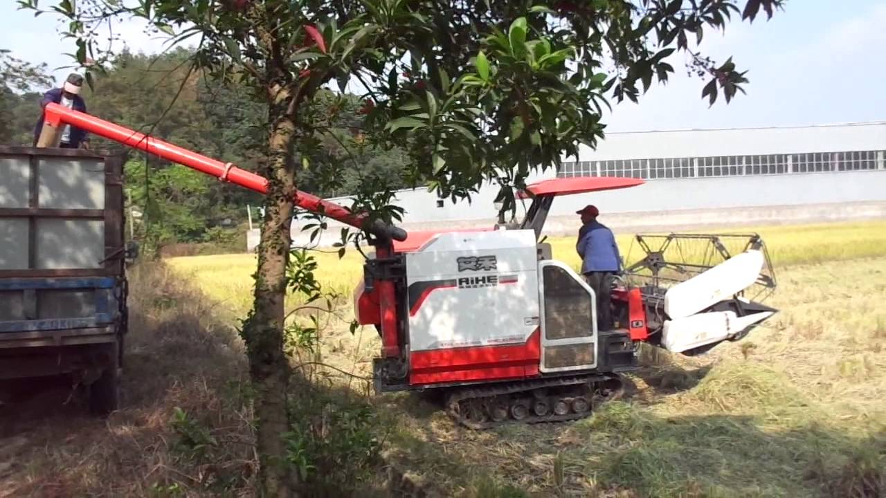 maxresdefault3_3 maxresdefault3_3