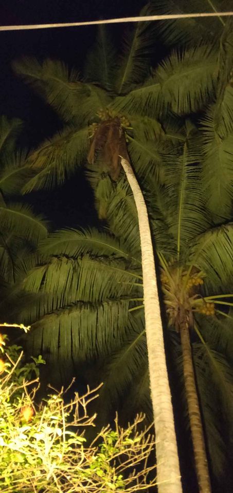 292170327_5224417827613293_146931701531547734_n