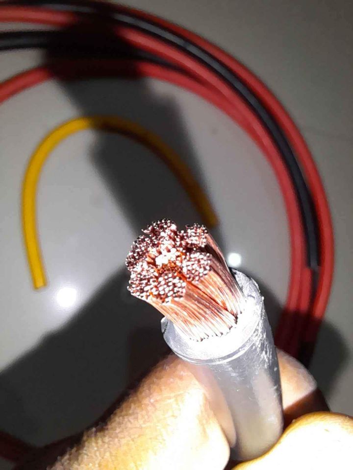 292361418_5531304346881977_3436432163792171819_n