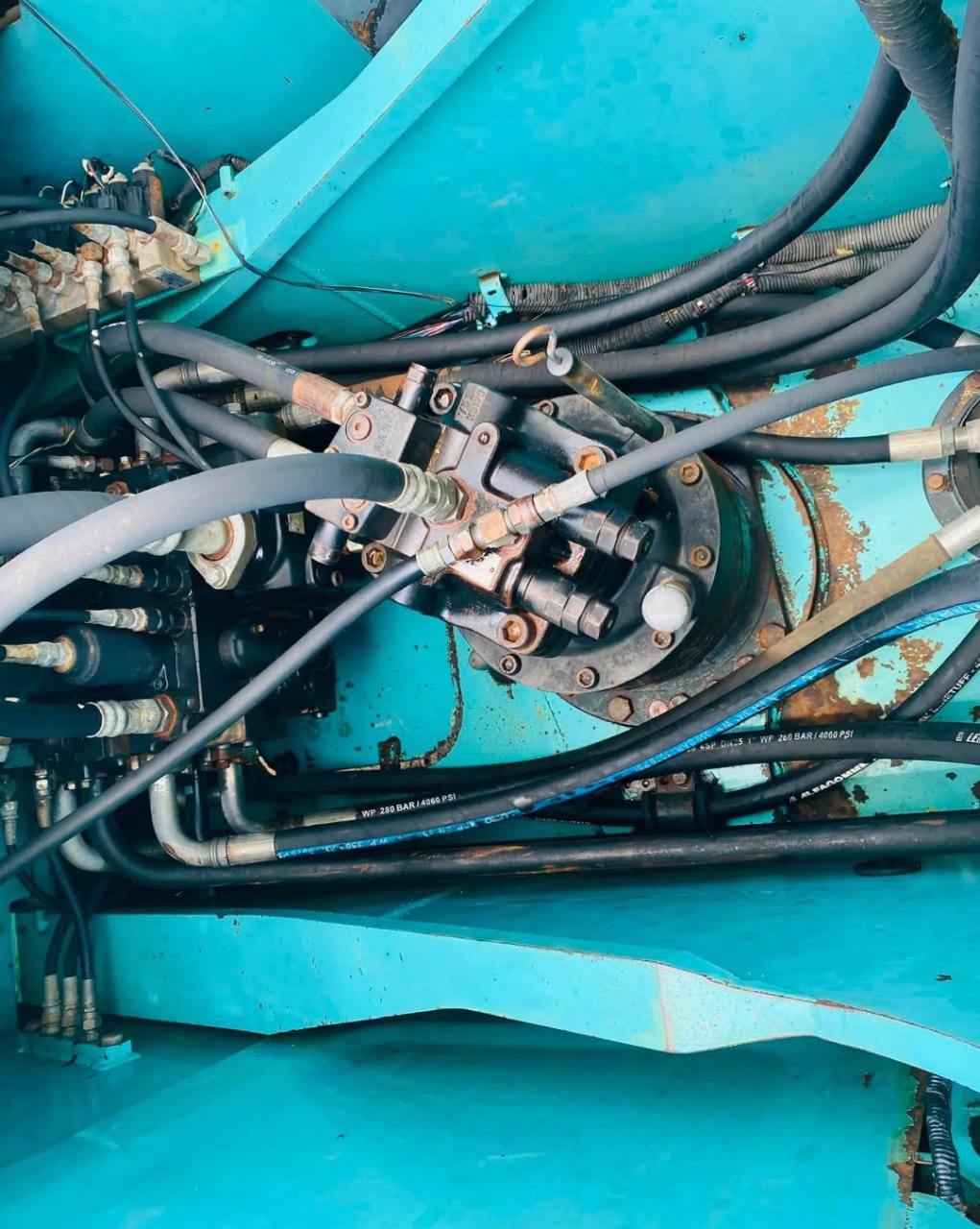 WhatsApp Image 2022-07-04 at 5.50.36 PM