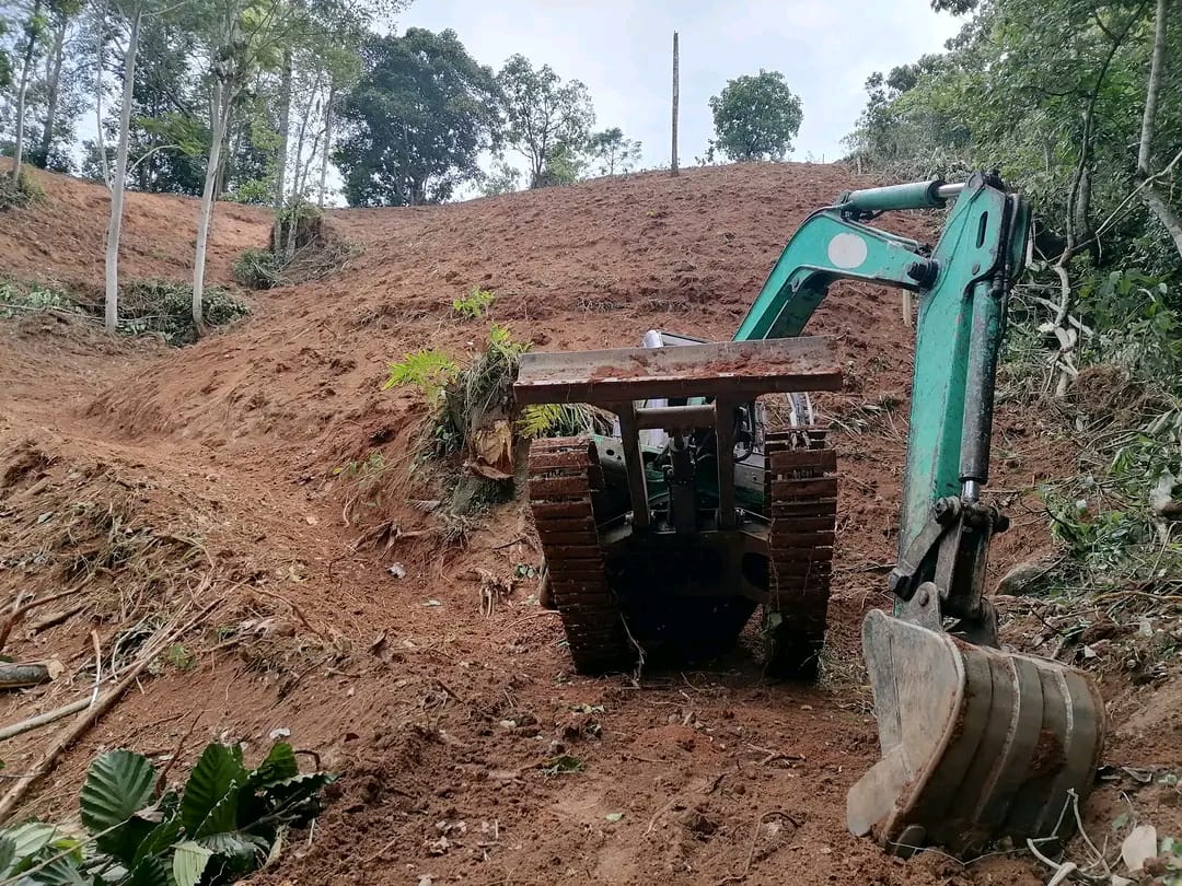 WhatsApp Image 2022-07-15 at 11.08.01 PM