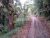 Land for sale at Digana Kandy