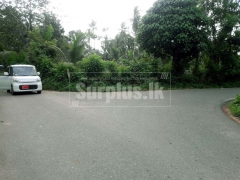 Well Cultivated 150 Perches Land for Sale in Balabowa Naiwala