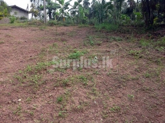 31 Perches Land for Sale in Mirigama