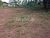 31 Perches Land for Sale in Mirigama