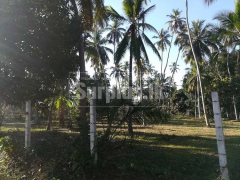 4 Acres Land for Sale or Lease in Katunayake close to Airport