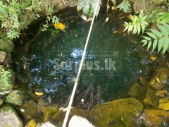 Eco Friendly Land for Urgent Sale in Haldummulla.