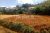 Valuable Land for Sale in Peradeniya Road, Nuwara Eliya.