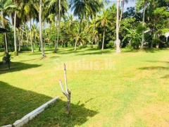 Good Investment Oppertunity for a Plantation Business