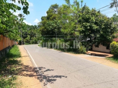 Land for sale in Bemmulla Gampaha.