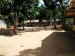 80 Perches Commercial Land for Sale in Kataragama
