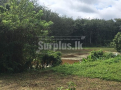140 Perches Land for Sale at Kaluaggala