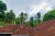 Valuable 1.5 Acre Land with Antique Bungalow for Sale in Ratnapura