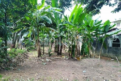 10.8 Perches Land for Sale in Ragama
