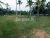 Land for Sale in Beruwala bordering to River.