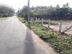 40 Perches Land for Sale in Wennappuwa City