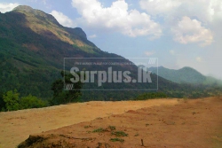Valuable 343 Perches Land for Sale in Pinnawala Rambukkana