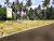 12.5 Perches Land Blocks for Sale in Godigamuwa Negombo