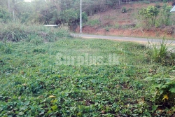 76 Peaches commercial Land for sale in Rathmale Matara.