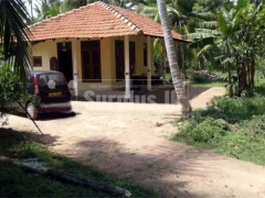Valuable Coconut Land for Sale in Madampe