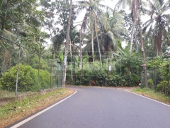 Land for Sale in Horagasmulla Divulapitiya.