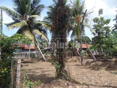 Land for Sale in Dalupotha Negombo.