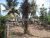 Land for Sale in Dalupotha Negombo.