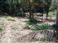 අකුරැස්ස අක්කර 2 ක ඉඩමක් විකිණීමට