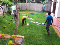 GARDEN MAINTENANCE / SERVICES