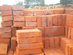 Gadol Brick For Sale