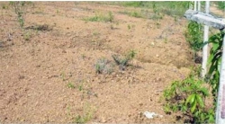 හොරණ නගරාසන්නයේන් ඉඩමක්