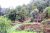 73 Perches Land for Sale in Nuwara Eliya