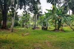 Bare Land for Sale at Kumarage Watta, Thalawathugoda