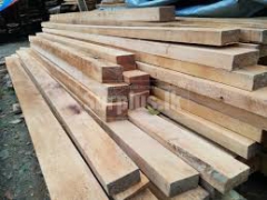 HORA TIMBER / හොරලී