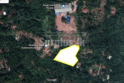 224 Perches for Sale in Makewita Gampaha.